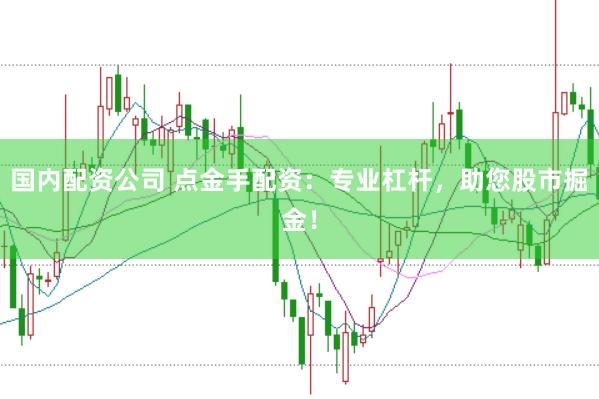 国内配资公司 点金手配资：专业杠杆，助您股市掘金！