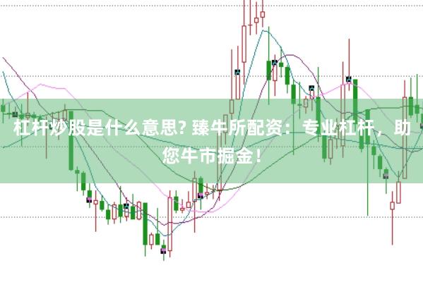 杠杆炒股是什么意思? 臻牛所配资：专业杠杆，助您牛市掘金！