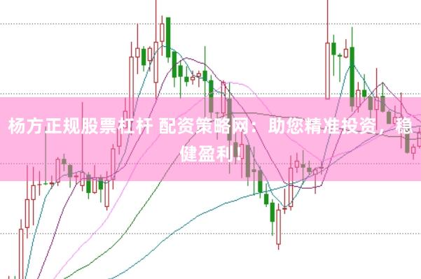 杨方正规股票杠杆 配资策略网：助您精准投资，稳健盈利！