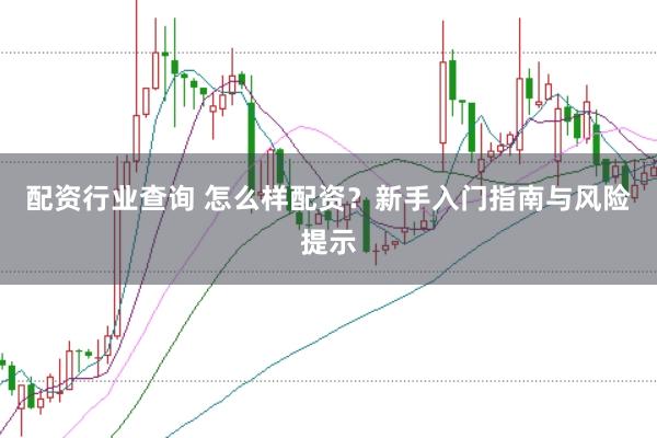 配资行业查询 怎么样配资？新手入门指南与风险提示