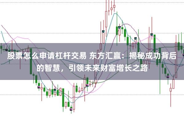股票怎么申请杠杆交易 东方汇赢：揭秘成功背后的智慧，引领未来财富增长之路