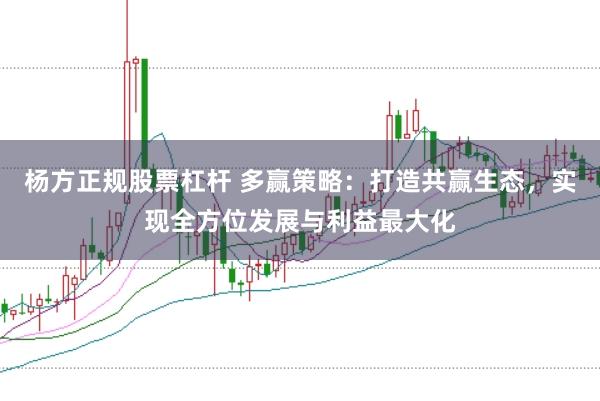 杨方正规股票杠杆 多赢策略：打造共赢生态，实现全方位发展与利益最大化