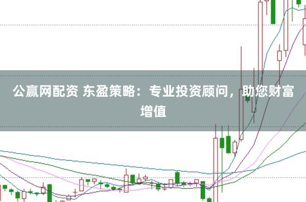 公赢网配资 东盈策略：专业投资顾问，助您财富增值