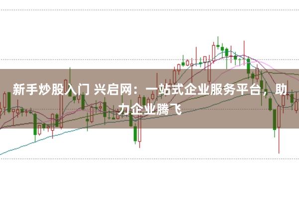 新手炒股入门 兴启网：一站式企业服务平台，助力企业腾飞