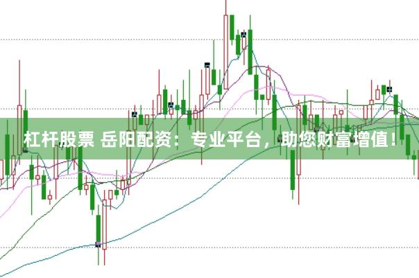 杠杆股票 岳阳配资：专业平台，助您财富增值！