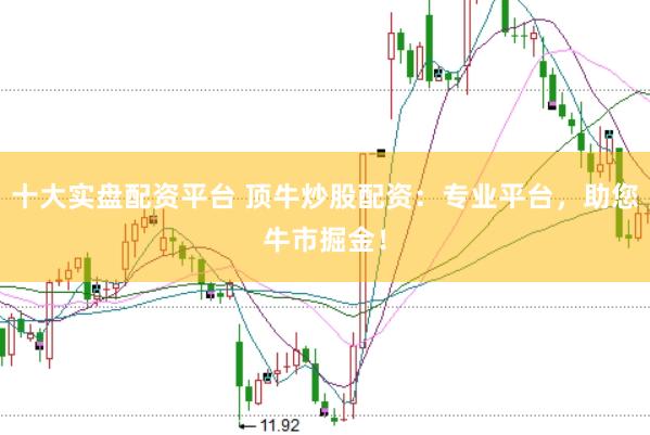 十大实盘配资平台 顶牛炒股配资：专业平台，助您牛市掘金！