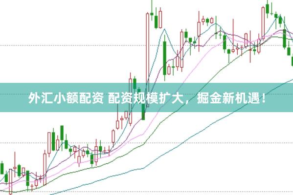 外汇小额配资 配资规模扩大，掘金新机遇！