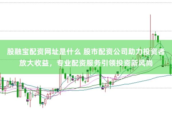股融宝配资网址是什么 股市配资公司助力投资者放大收益，专业配资服务引领投资新风尚