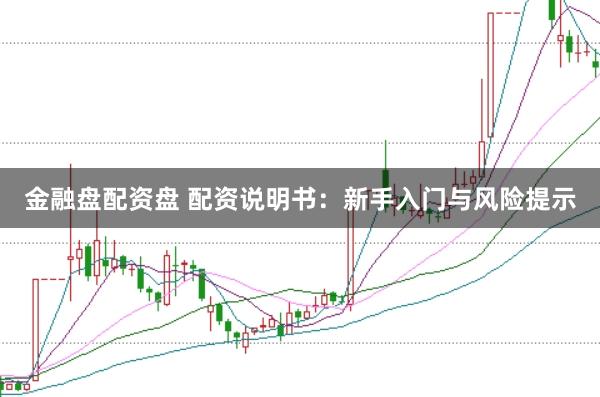 金融盘配资盘 配资说明书：新手入门与风险提示
