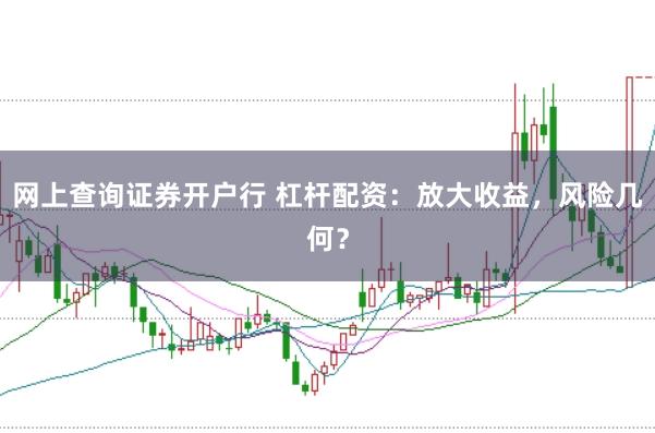 网上查询证券开户行 杠杆配资：放大收益，风险几何？