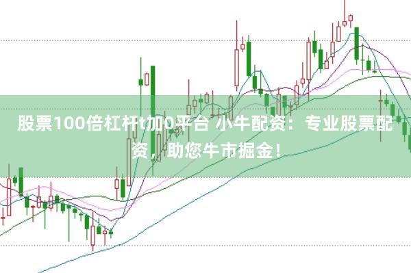 股票100倍杠杆t加0平台 小牛配资：专业股票配资，助您牛市掘金！