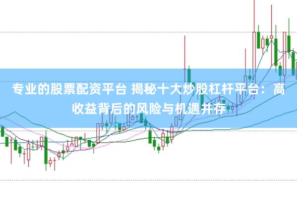 专业的股票配资平台 揭秘十大炒股杠杆平台：高收益背后的风险与机遇并存