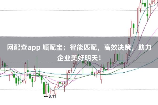 网配查app 顺配宝：智能匹配，高效决策，助力企业美好明天！